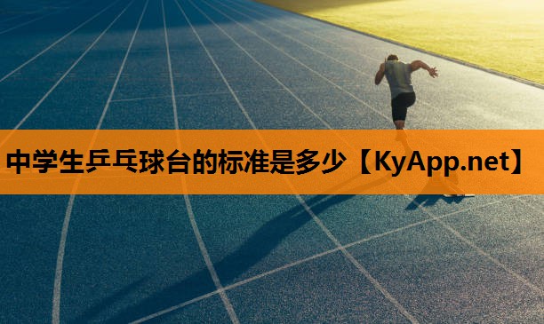 中学生乒乓球台的标准是多少