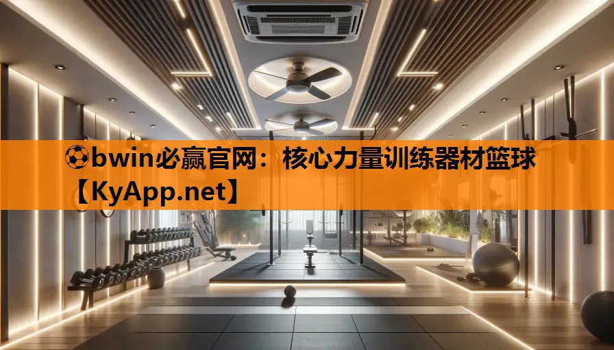 ⚽bwin必赢官网：核心力量训练器材篮球