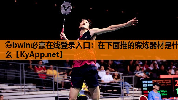 ⚽bwin必赢在线登录入口：在下面推的锻炼器材是什么