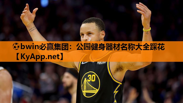 ⚽bwin必赢集团：公园健身器材名称大全踩花