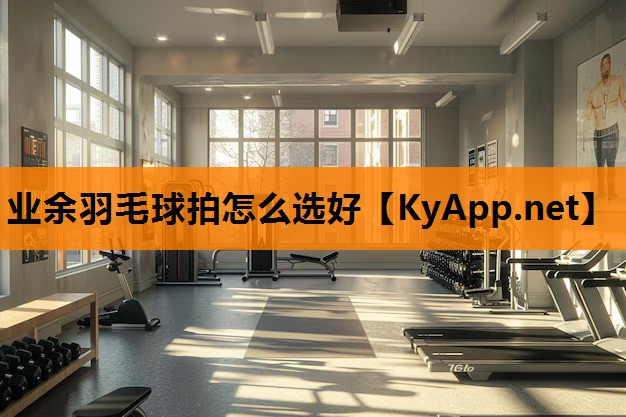 业余羽毛球拍怎么选好