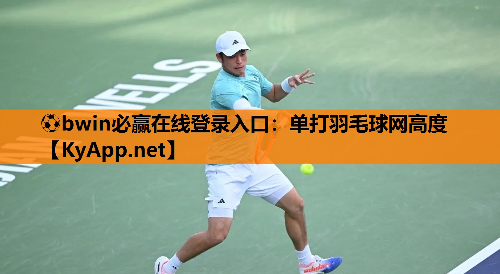 ⚽bwin必赢在线登录入口：单打羽毛球网高度