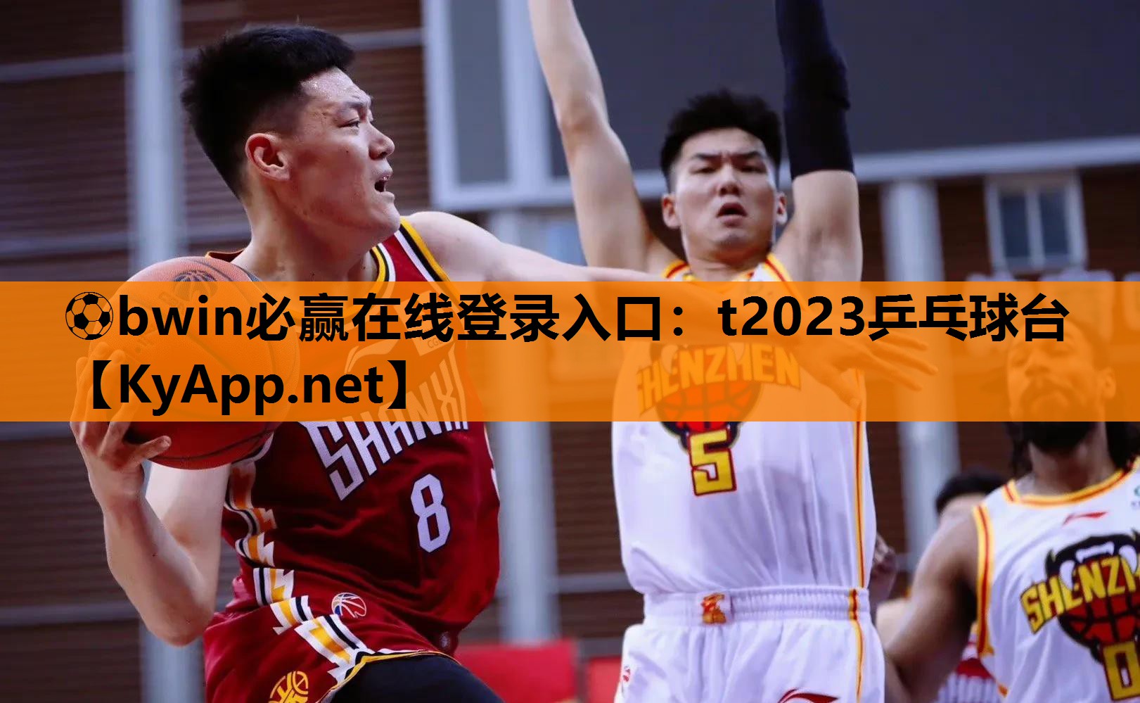 ⚽bwin必赢在线登录入口：t2023乒乓球台