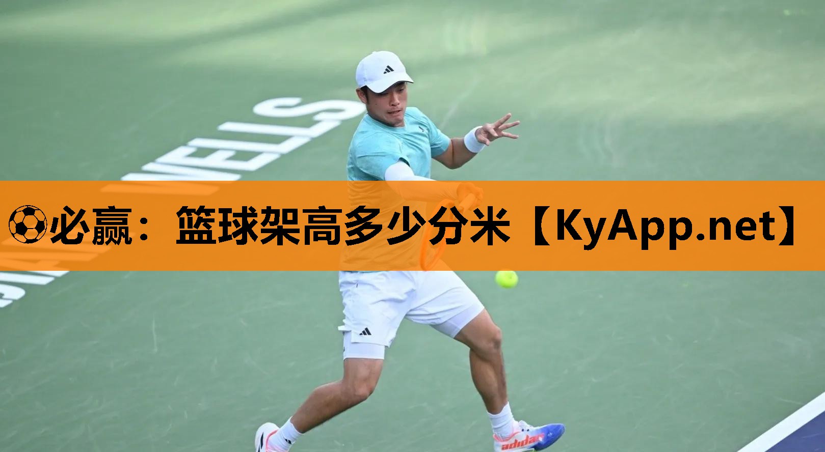 ⚽必赢：篮球架高多少分米