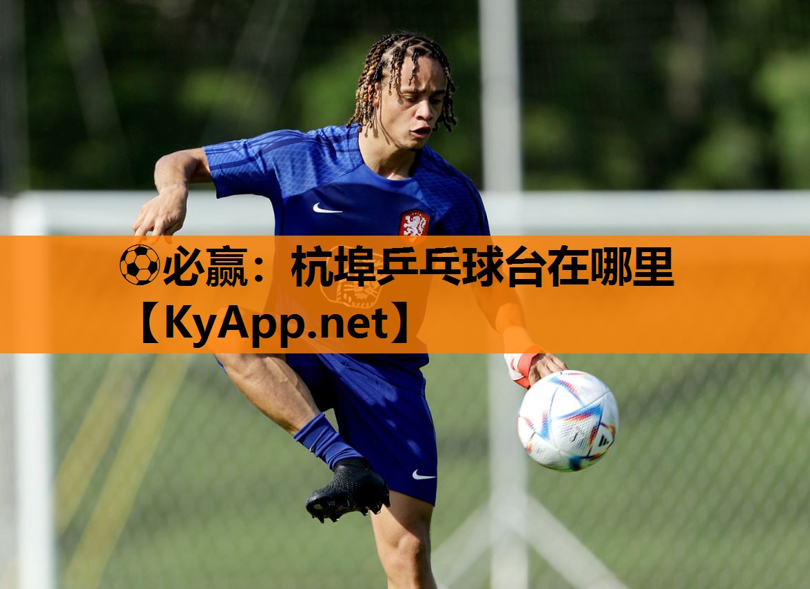 杭埠乒乓球台在哪里