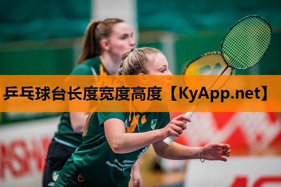 乒乓球台长度宽度高度