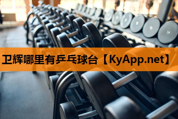 卫辉哪里有乒乓球台