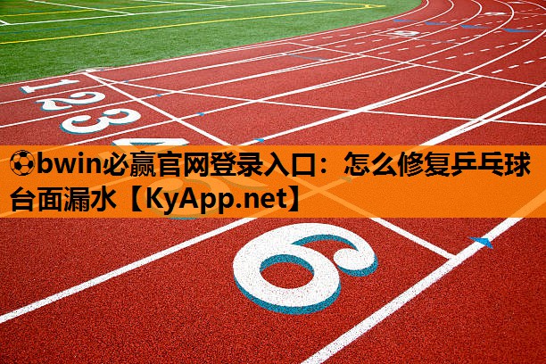怎么修复乒乓球台面漏水