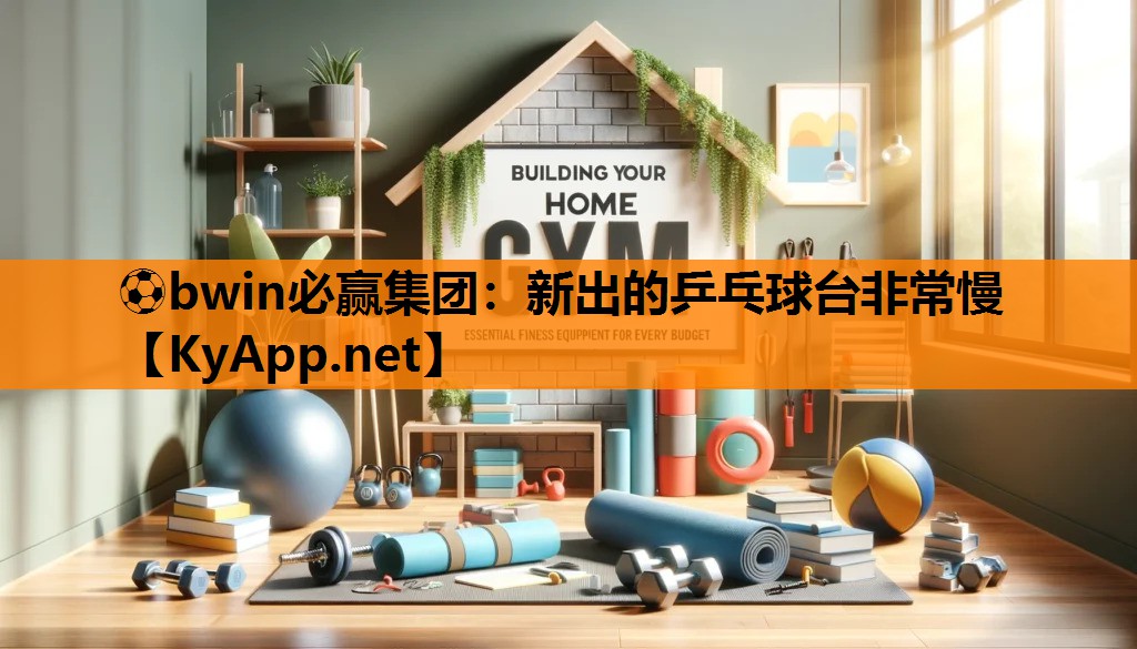 新出的乒乓球台非常慢