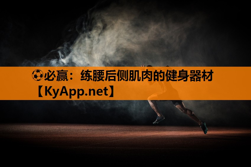 练腰后侧肌肉的健身器材