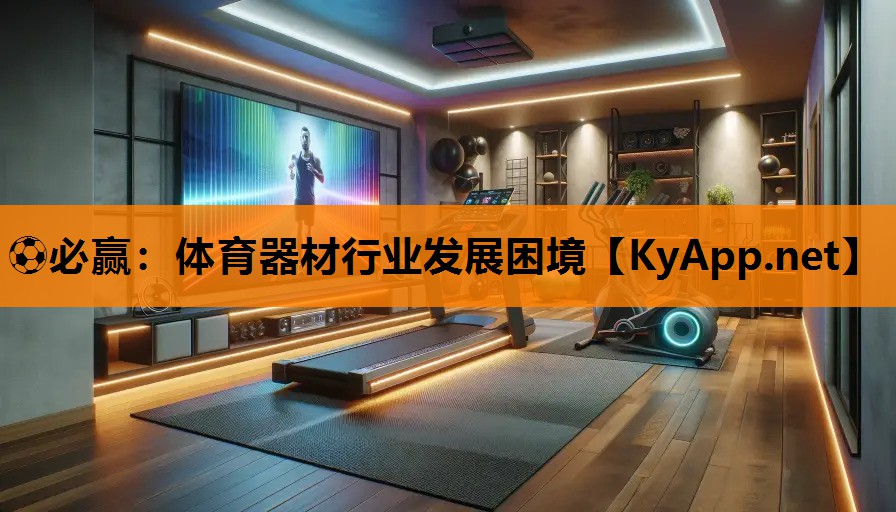 体育器材行业发展困境