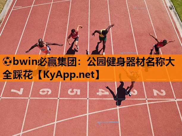 公园健身器材名称大全踩花