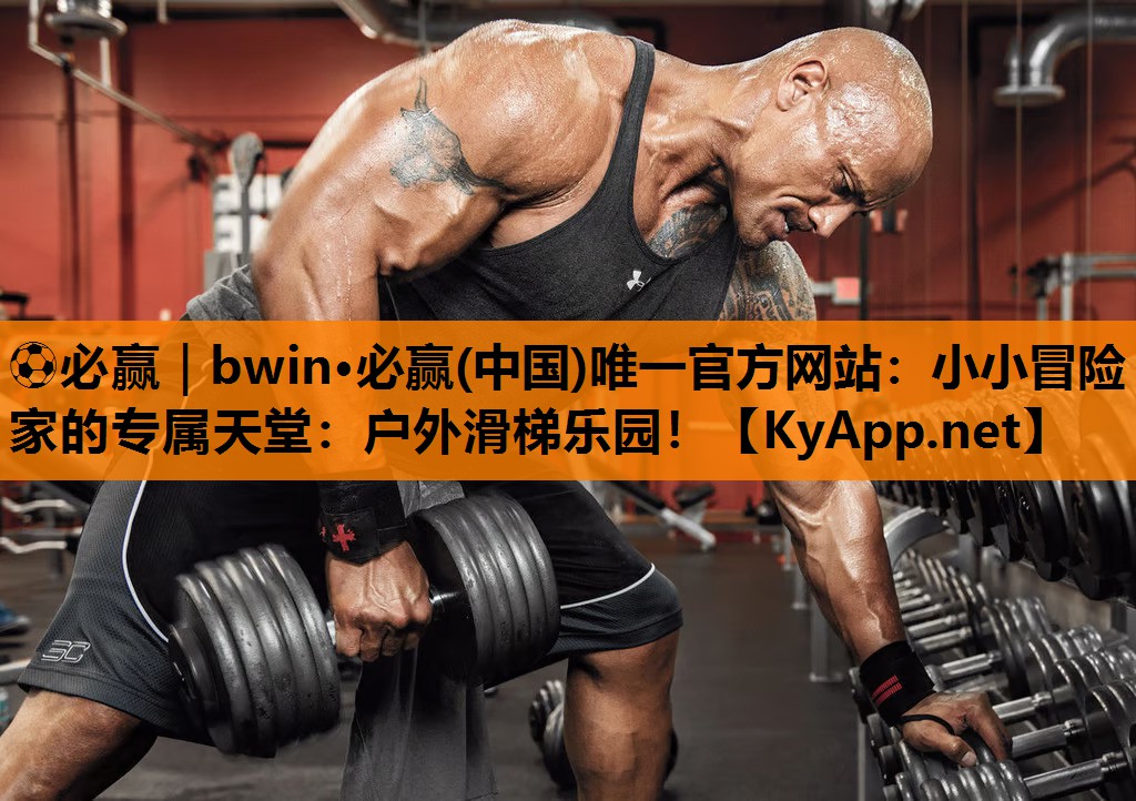 小小冒险家的专属天堂：户外滑梯乐园！