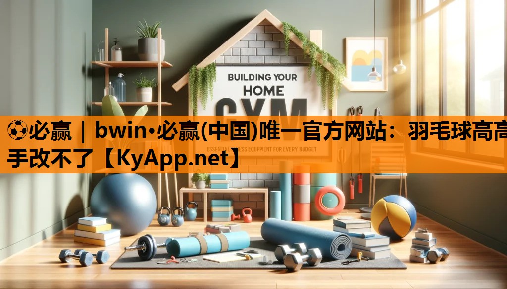 羽毛球高高手改不了