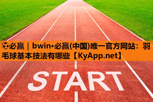 羽毛球基本技法有哪些