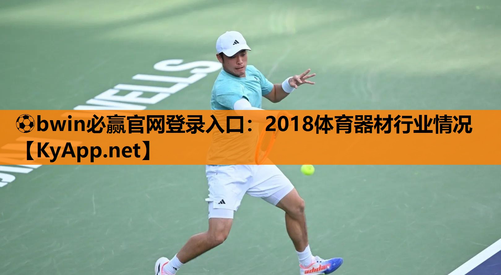 2018体育器材行业情况