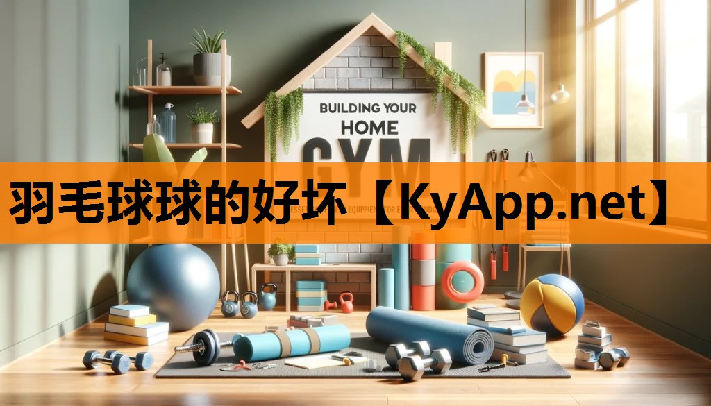 羽毛球球的好坏